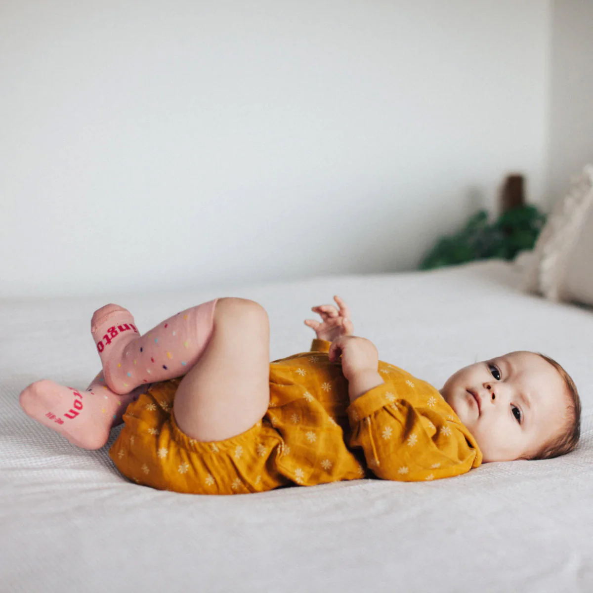 Lamington Knee High Socks - Image 10