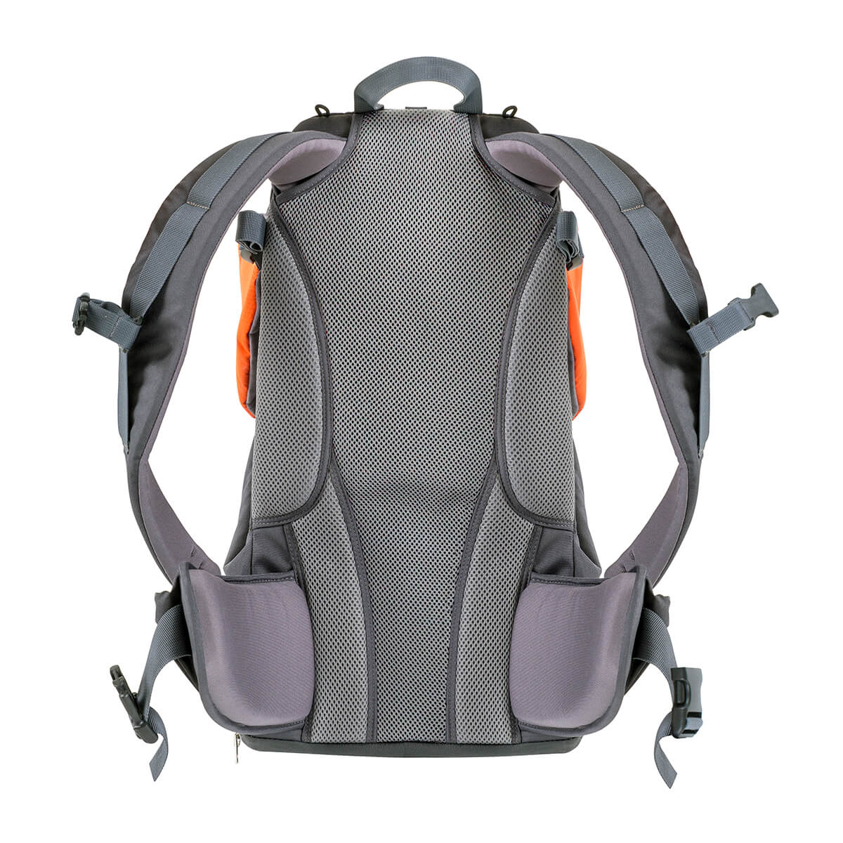 phil&teds® parade™ Carrier - Image 13